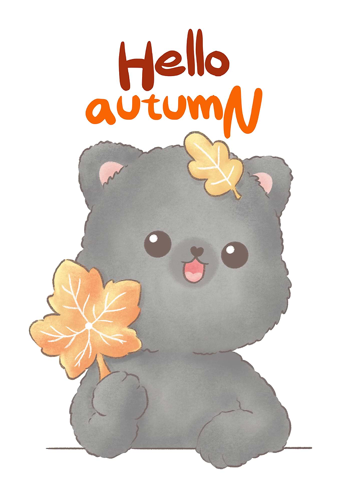 Gray cute Cat