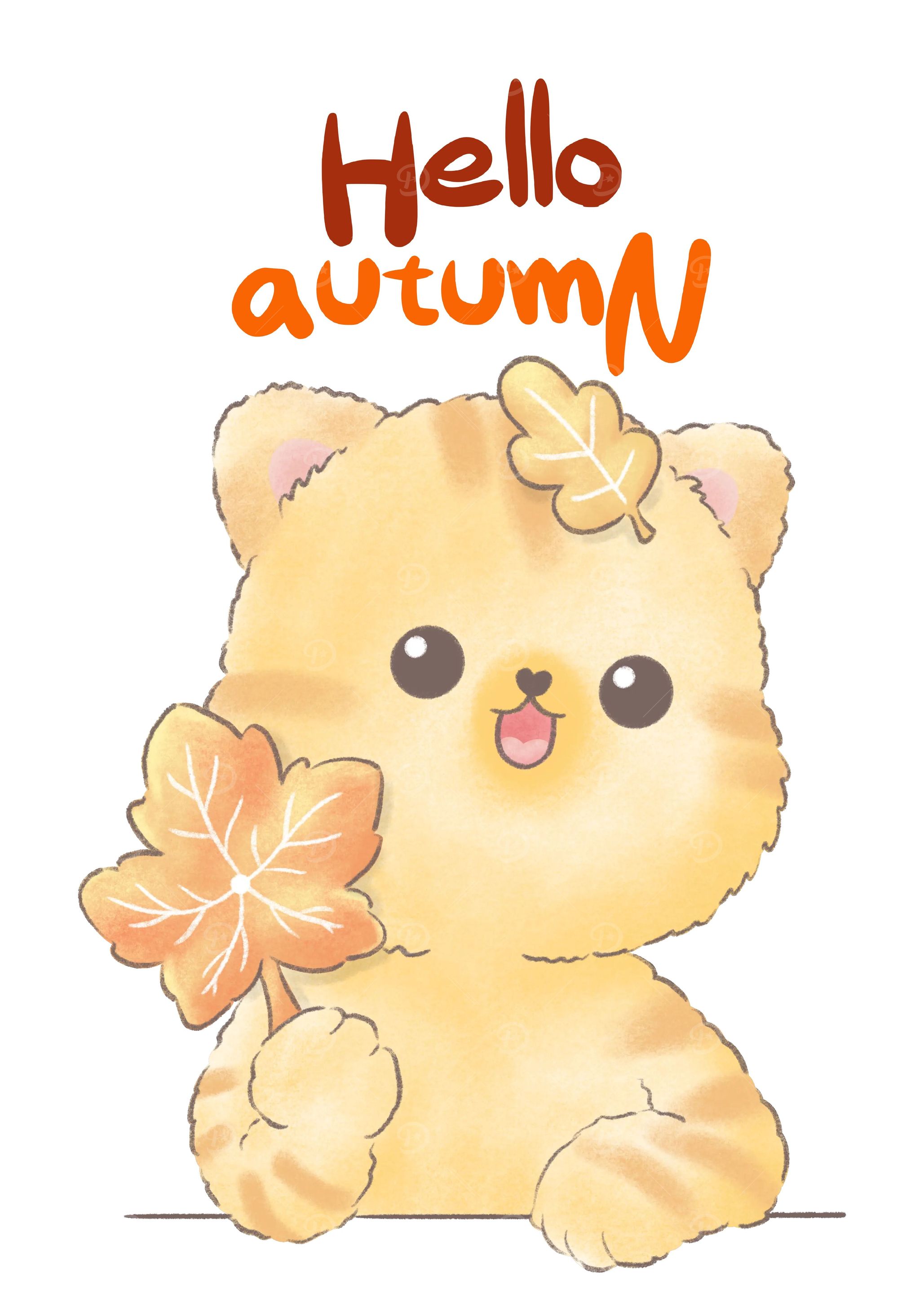 Orange Cat