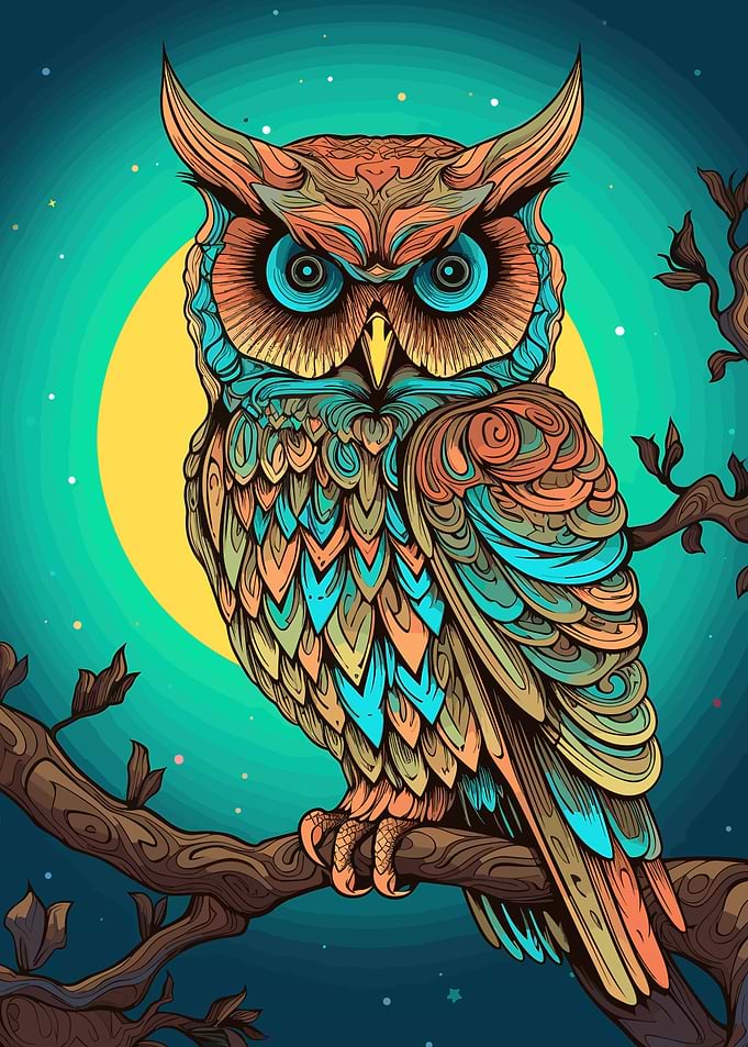 owl with colorful flowers