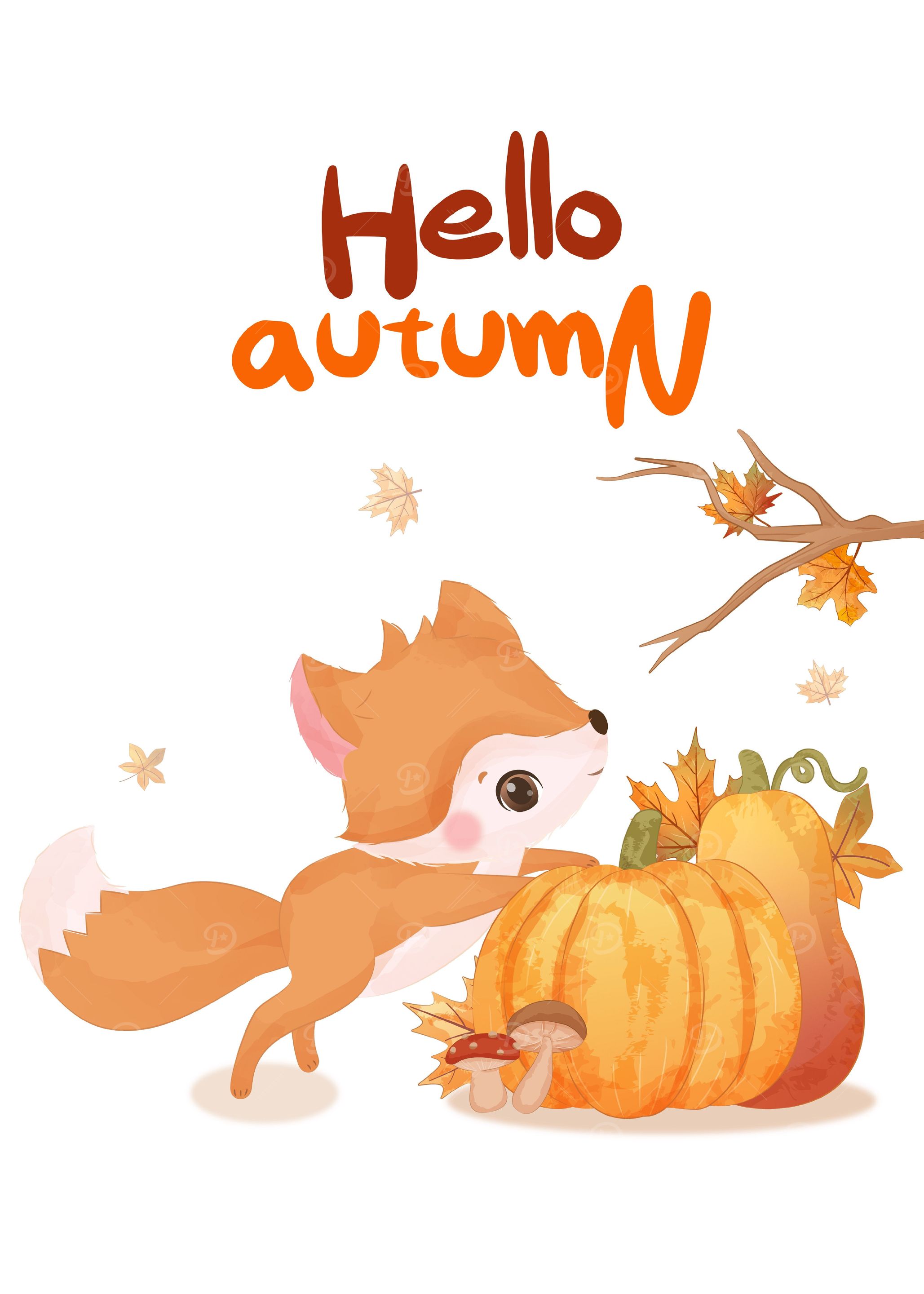 Summer Fox Illustration