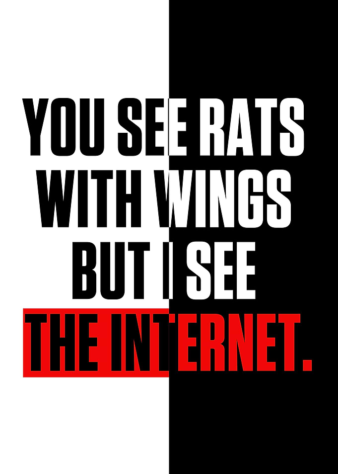 YOU SEE RATS WITH WINGS BU