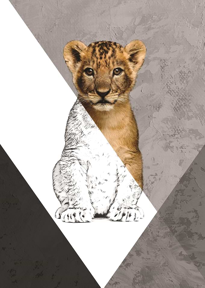Leon Geometric