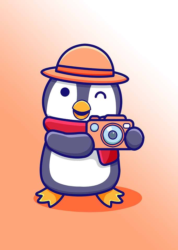 cute penguin animal