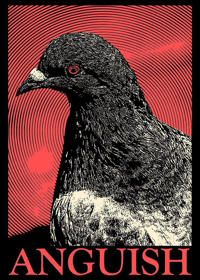 Anguish Pigeon