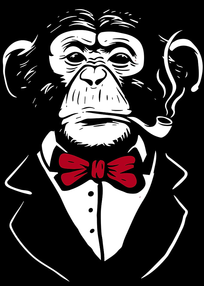 Monkey in clothes