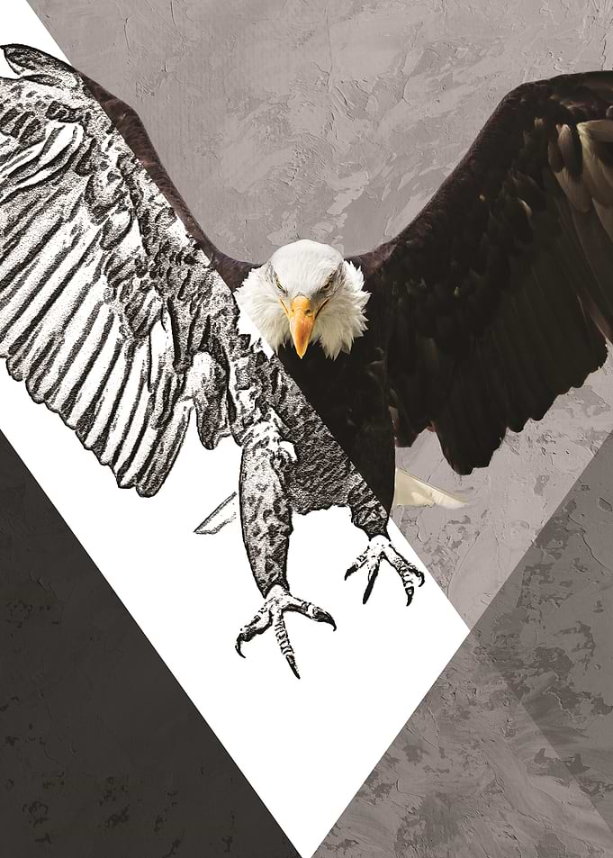 Hawk Eagle Geometric