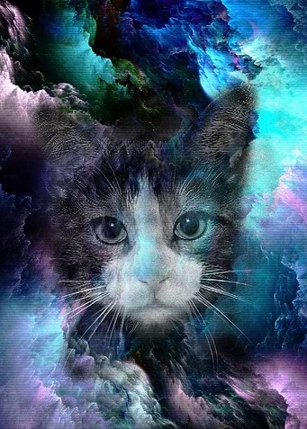 CAT SPACE NEBULA