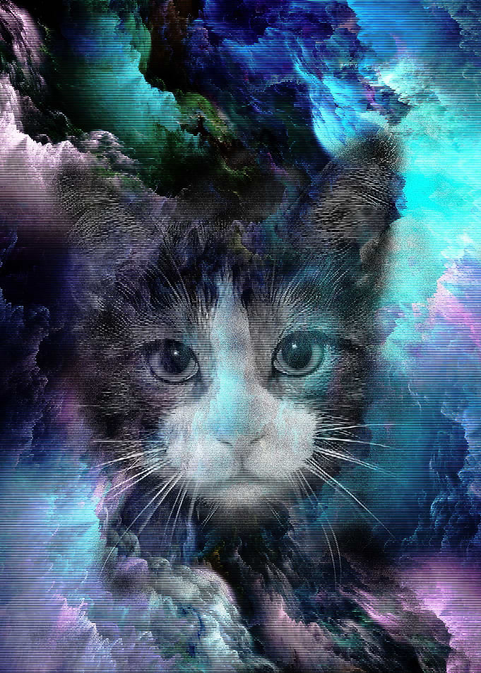 CAT SPACE NEBULA