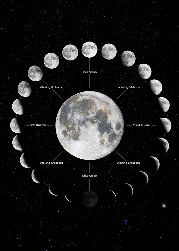 Moon Phases