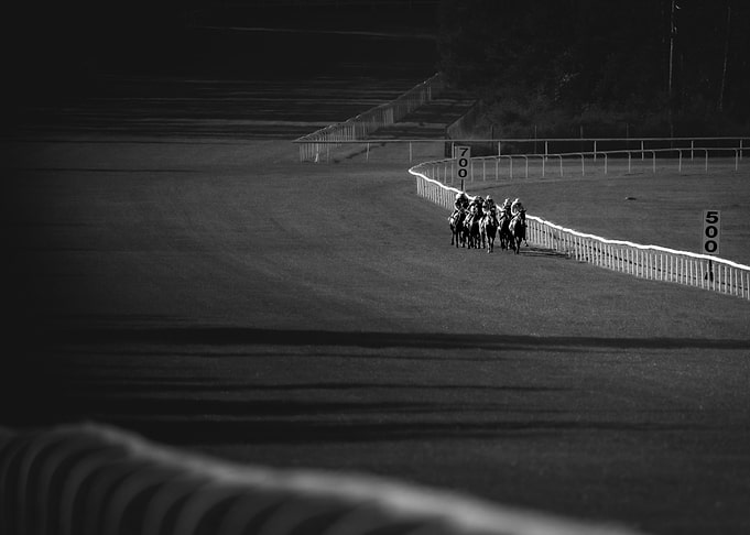 horse race