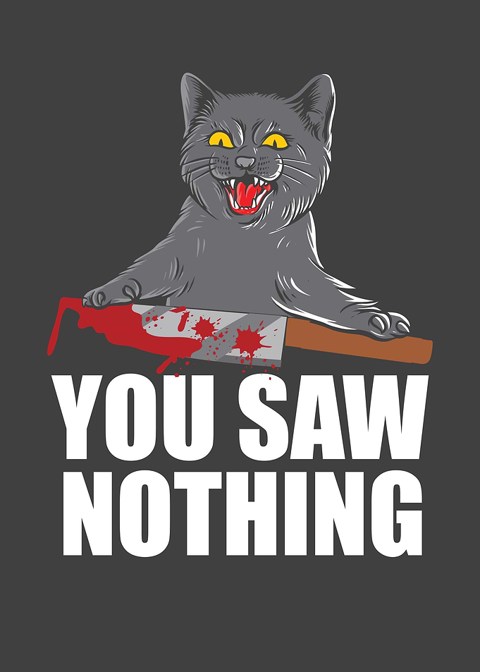 You Saw Nothing