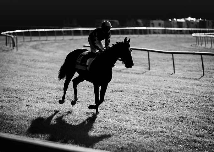 horse
