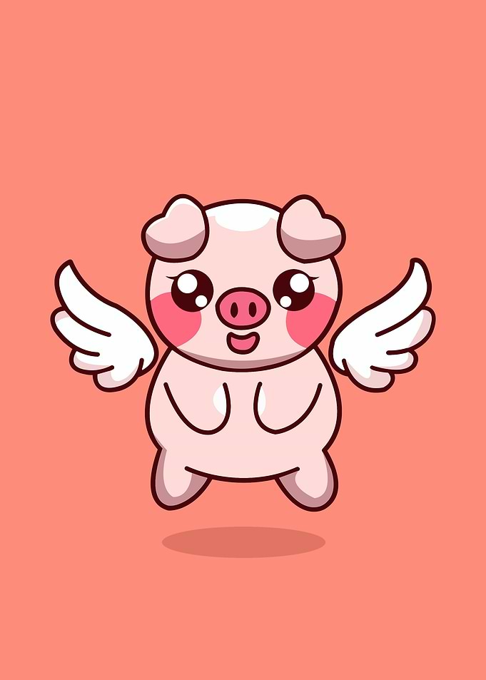 pig cute animal
