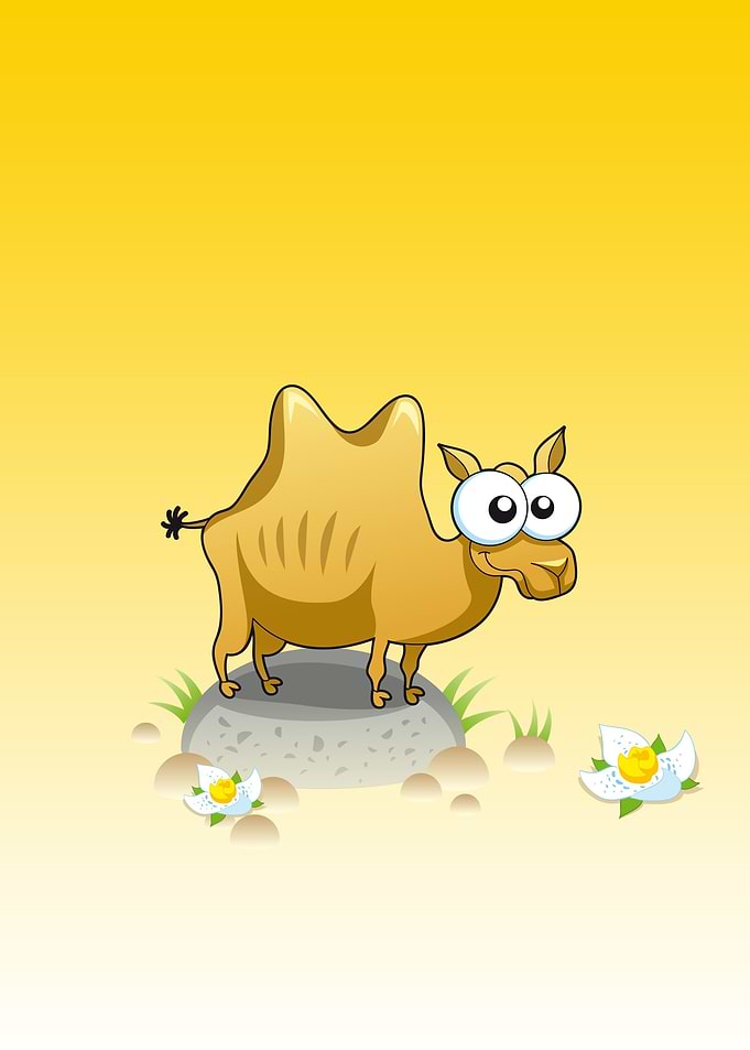 camel cute animal