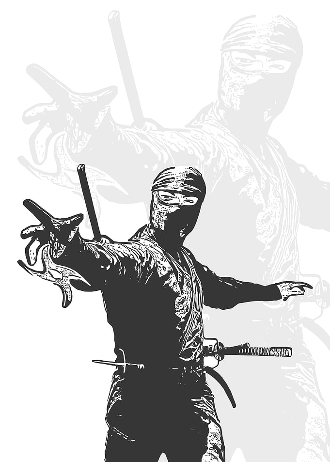 ninja warriors