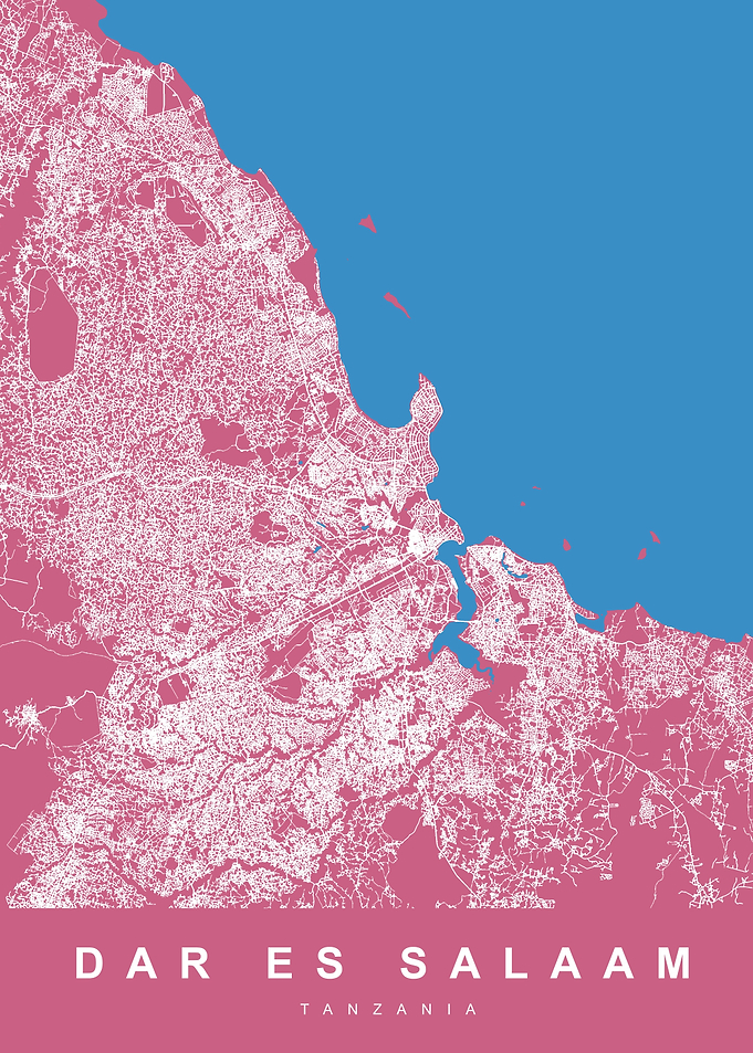 DAR ES SALAAM TANZANIA