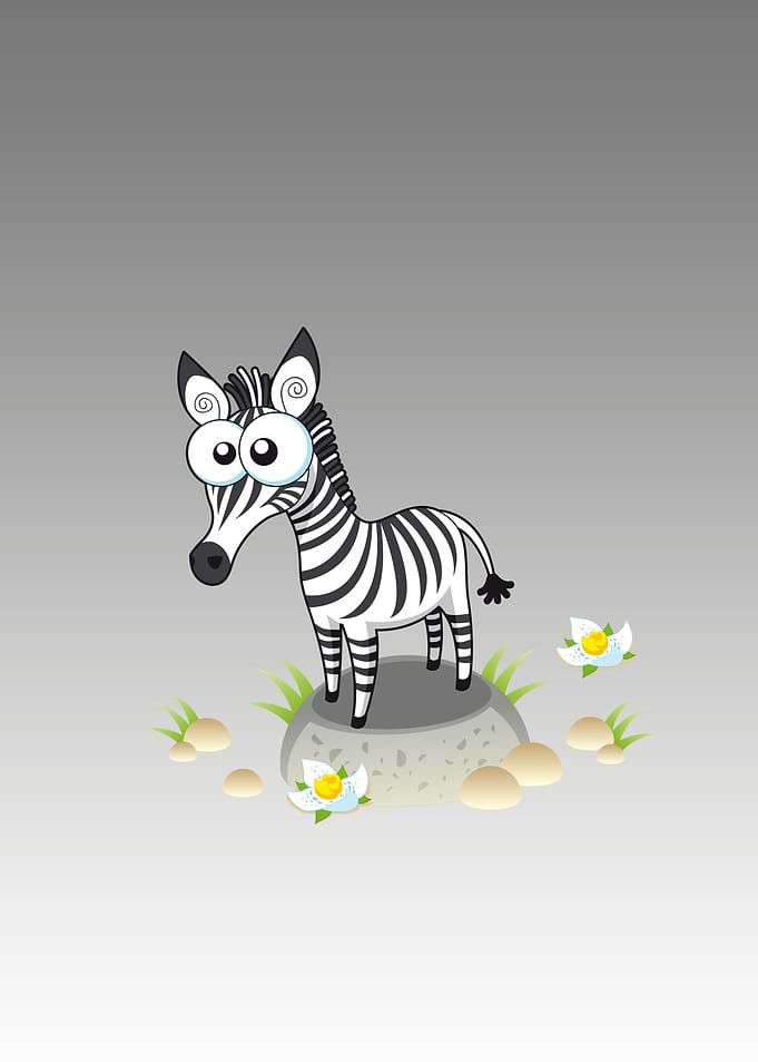 zebra cute animal