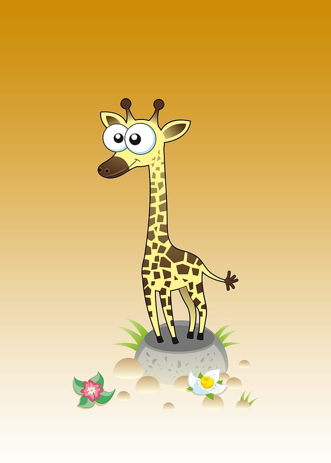 giraffe cute animal