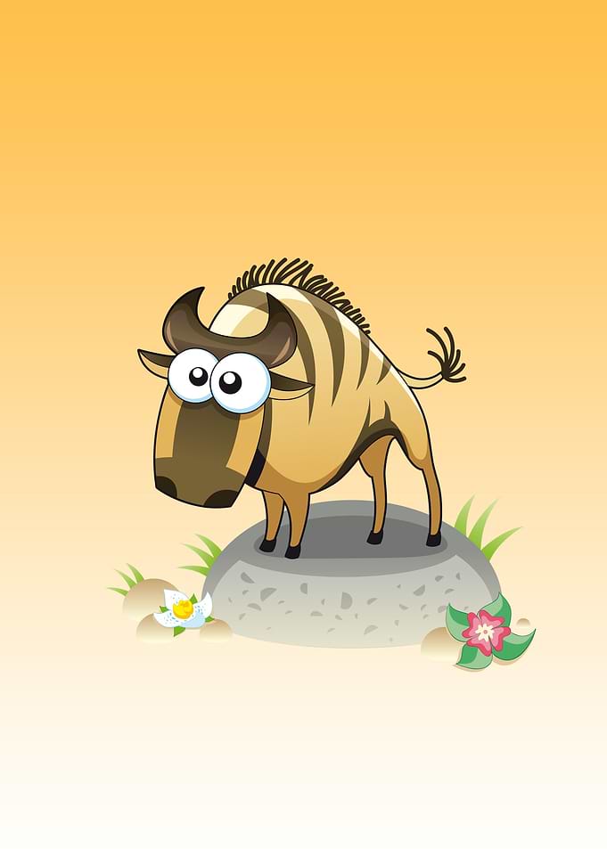 buffalo cute animal