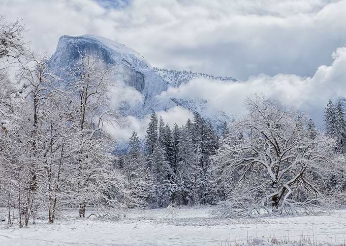Winter Scene