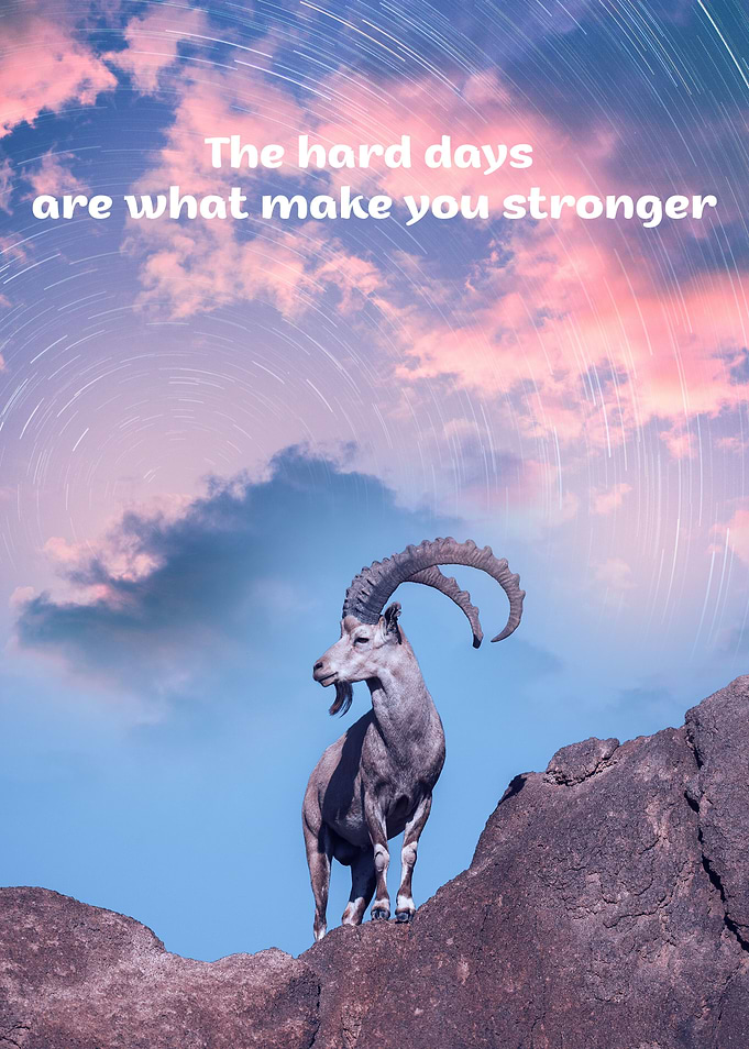 motivate quote