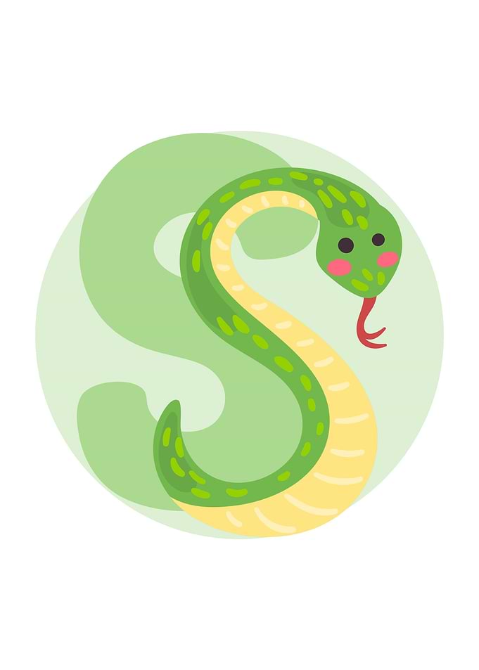 Alphabet S