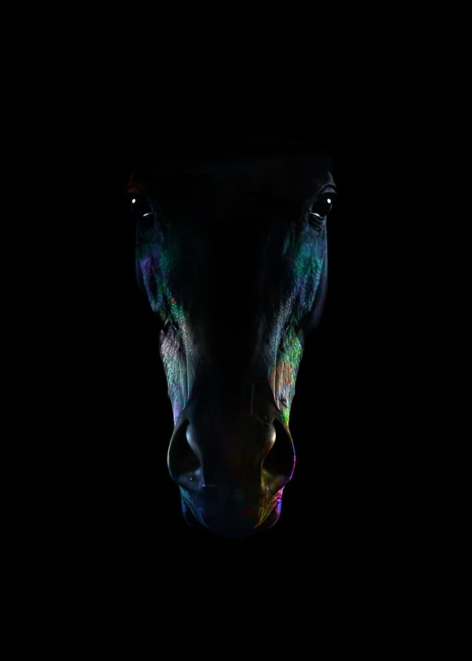 HORSE COLOR MANIPULATION