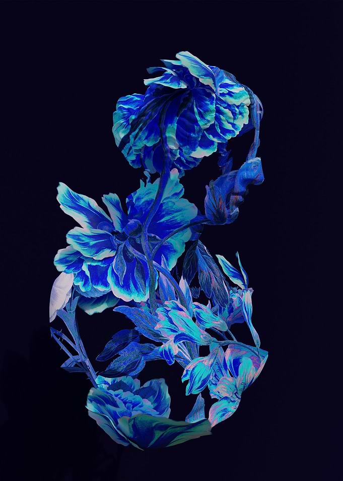 a blue flower