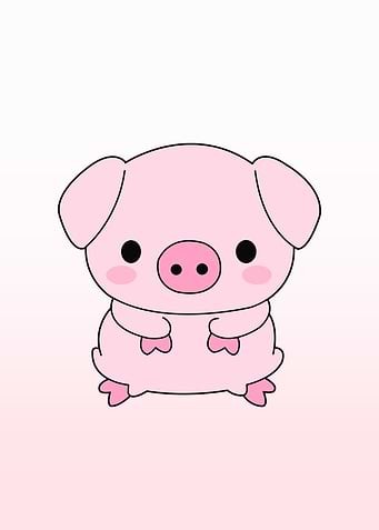 pig cute animal