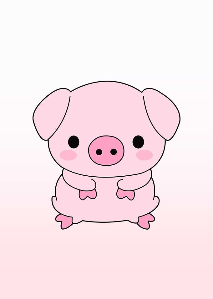 pig cute animal