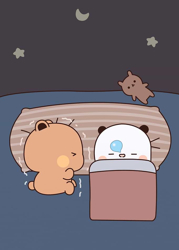 bear love cute animal