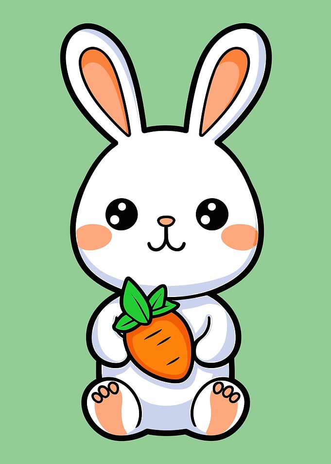 cute rabbit animal