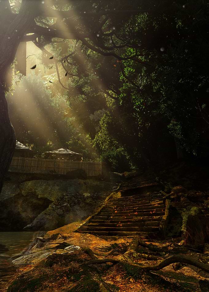 The Forest House