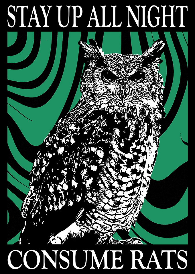 STAY UP ALL NIGHT OWL