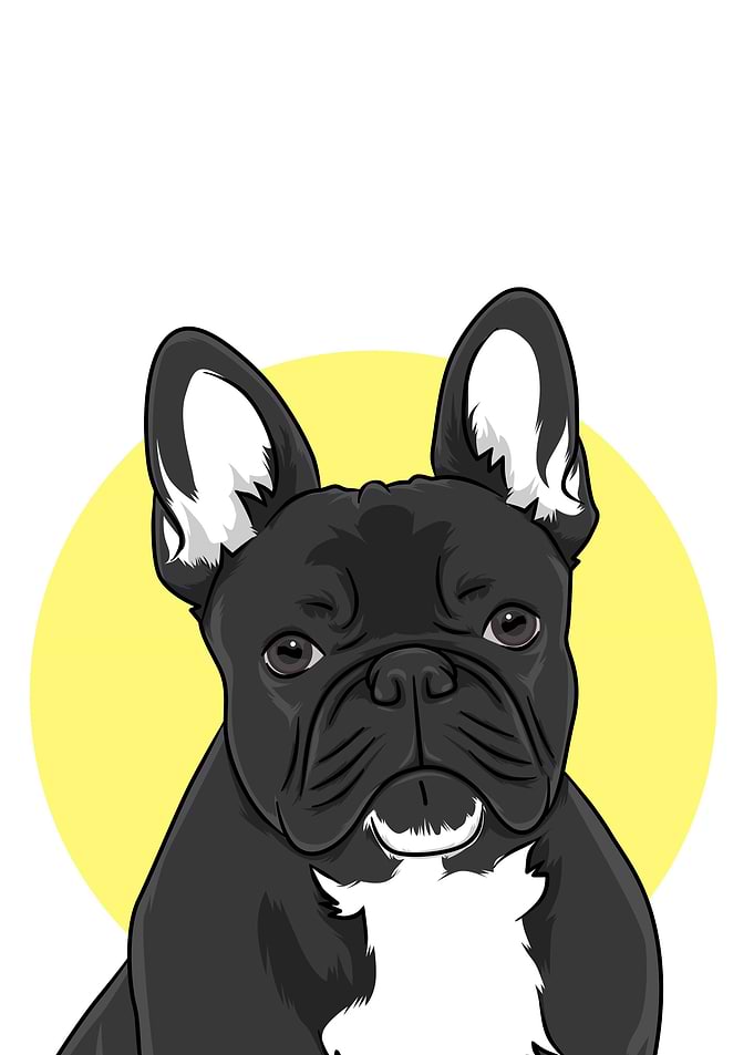 Bulldog cute