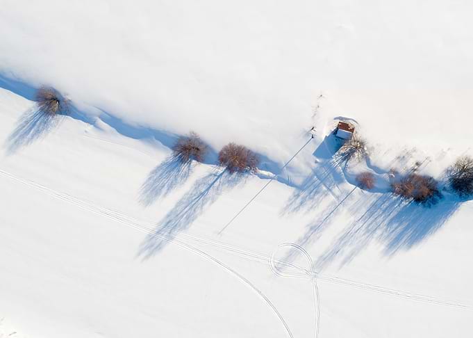 Shadows On The Snow