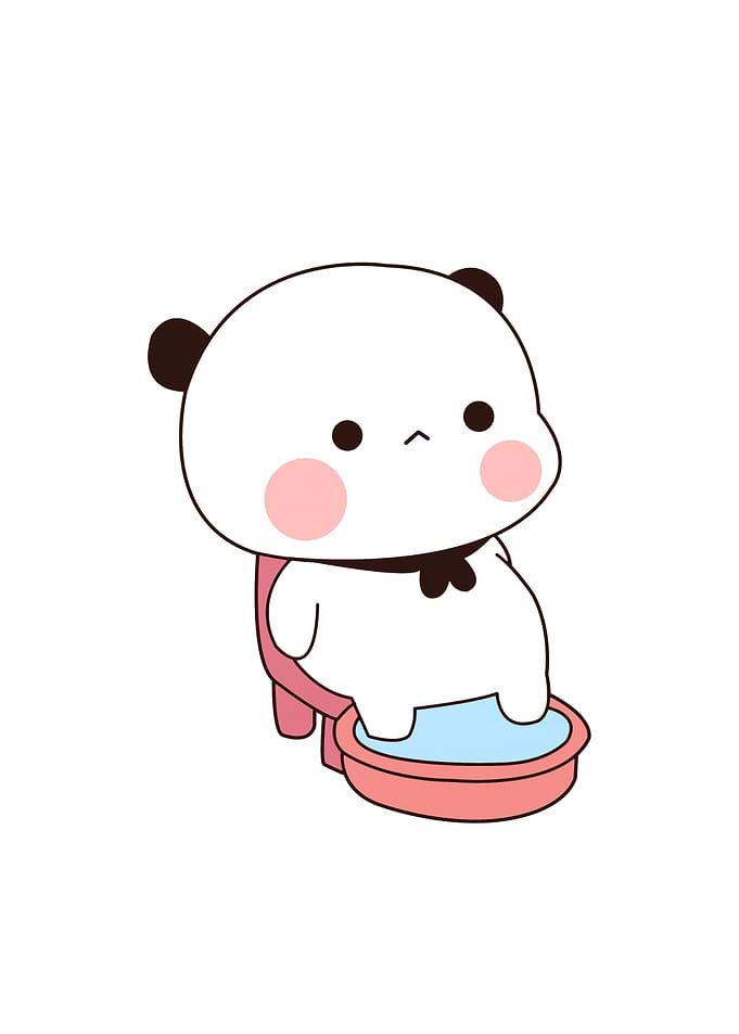 Bear love cute animal
