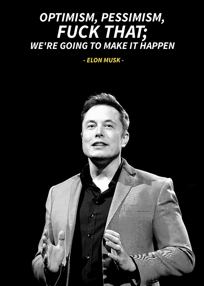 Elon Musk quotes