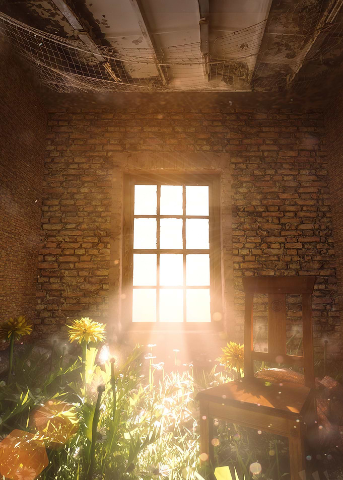 Indoor Plants