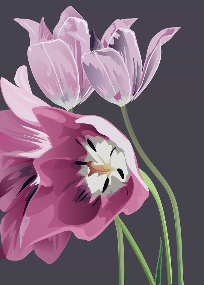 flowers flowers