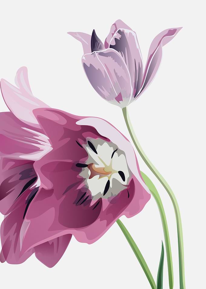 flowers flowers