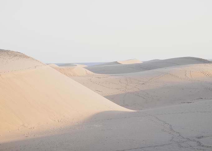Follow me in the Desert 3