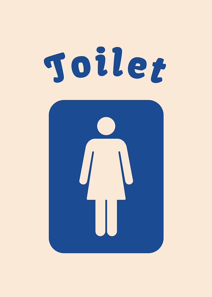 Bathroom toilet Girl