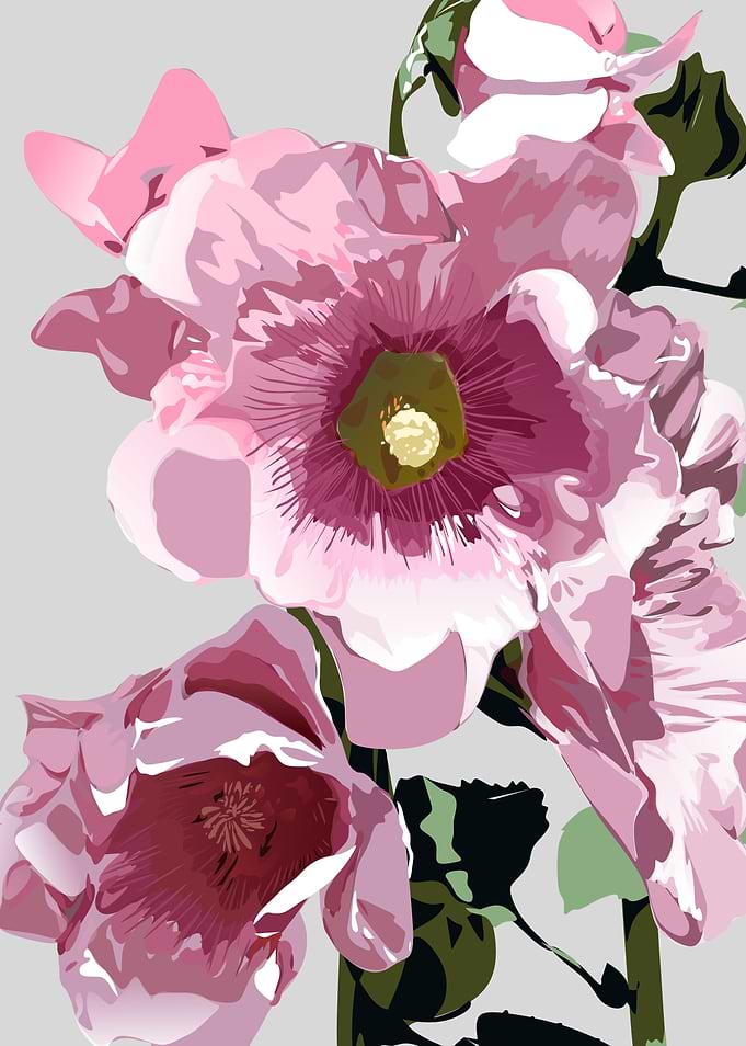 flowers flowers