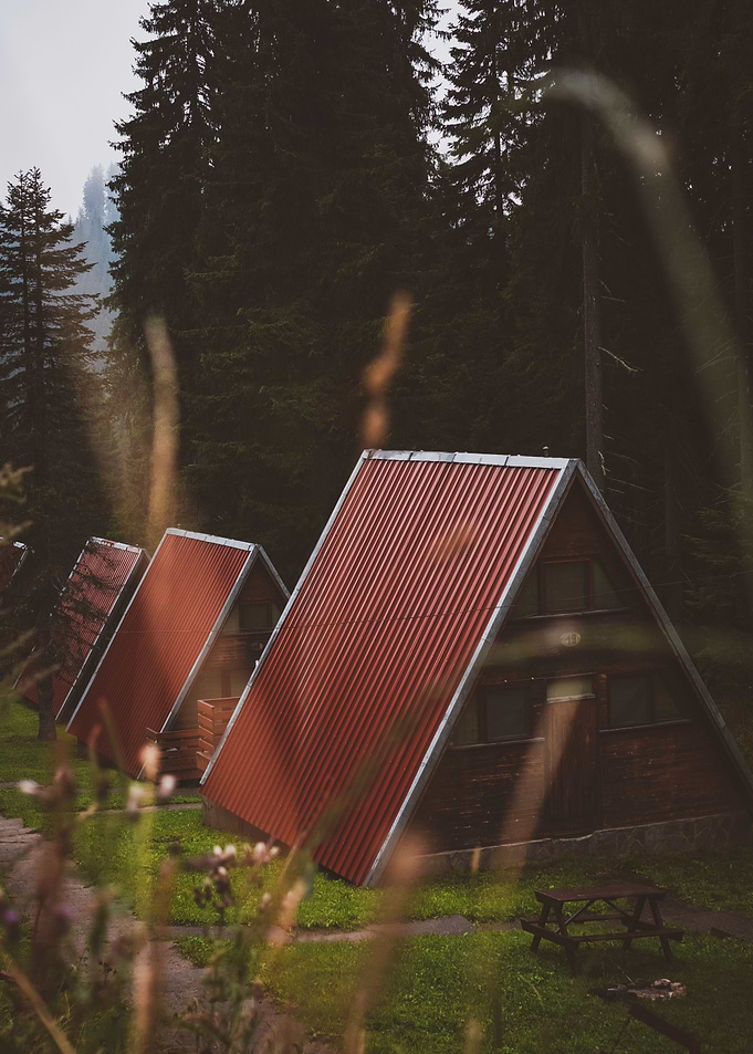 Cabin In The Woods