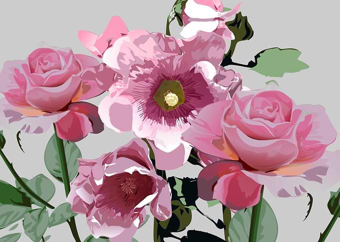 flowers flowers