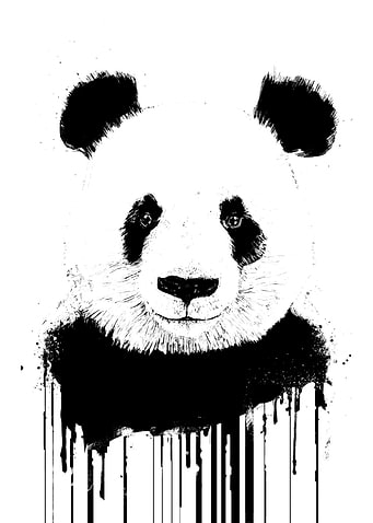 panda