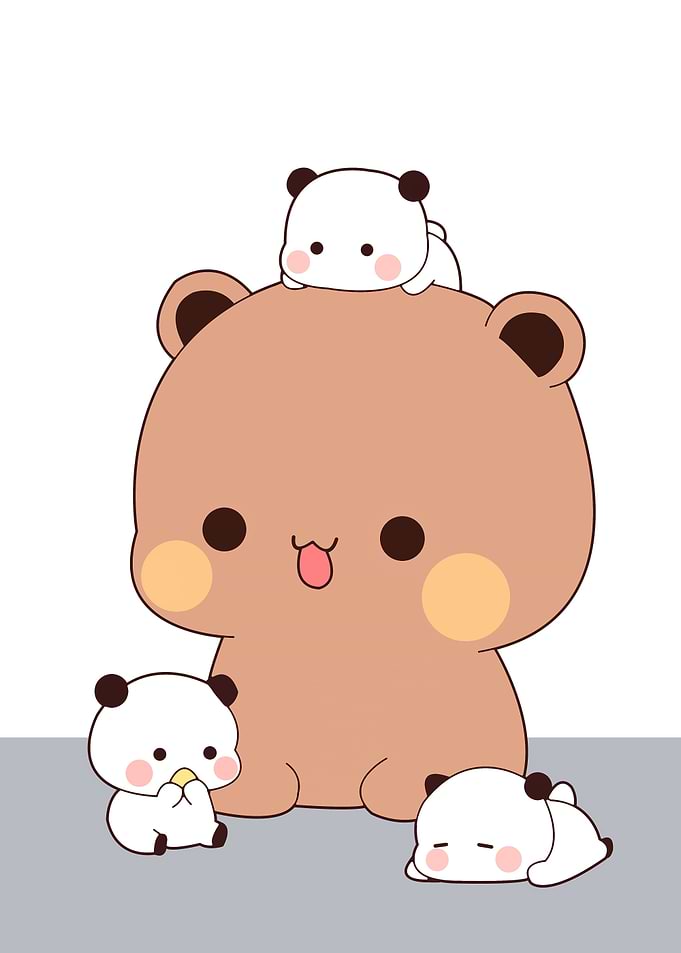 bear love cute animal