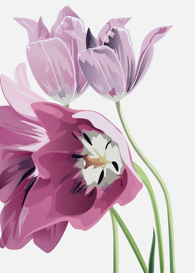 flowers flowers