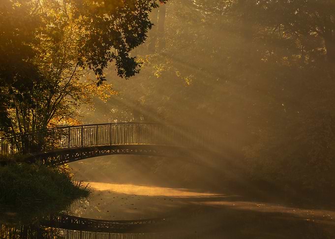 Autumn morning